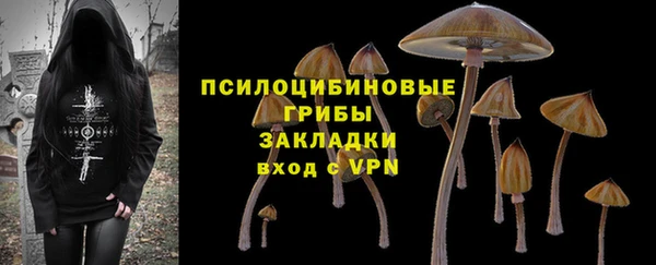 бошки Костерёво