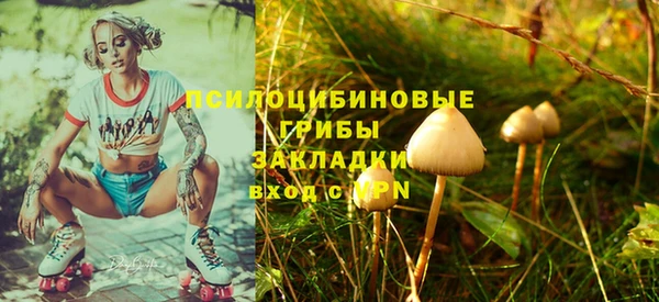 соль ск Краснотурьинск
