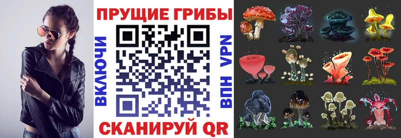 Псилоцибиновые грибы прущие грибы  цены   Псков 