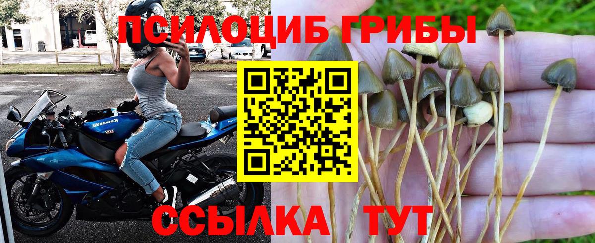 Галлюциногенные грибы Magic Shrooms  Вход с VPN  Галлюциногенные грибы GOLDEN TEACHER  Псков 